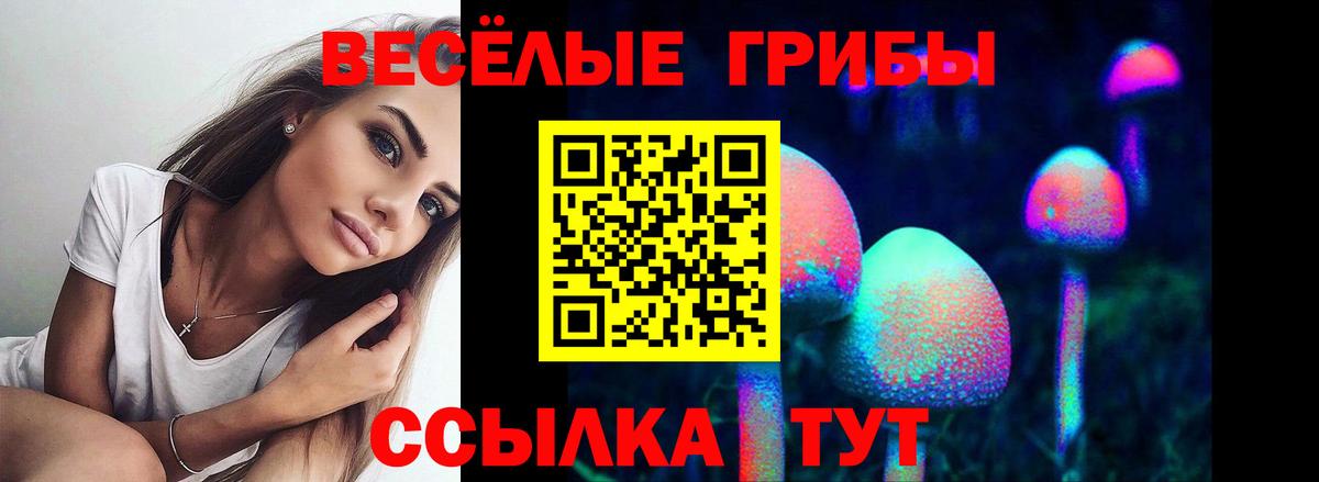 Мурманск  Галлюциногенные грибы ЛСД  Вход с VPN  Псилоцибиновые грибы ЛСД 